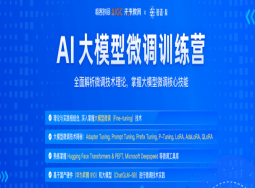 AI大模型微调训练营(视频+源码+PPT)