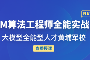LLM算法工程师全能实战营（完结）