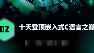 十天登顶嵌入式C语言之巅（高手C）