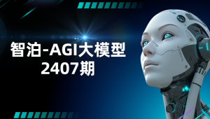 智泊-AGI大模型2407期