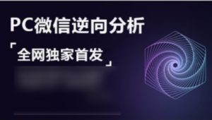 PC微信hook逆向分析，视频课程，价值599