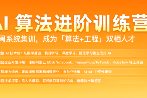 AI算法进阶训练营（包更新）