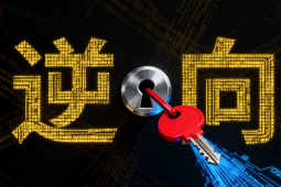 任鸟飞 2025 逆向无密【77节全】