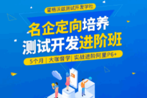Python测试开发进阶线上班28期