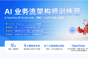 AI 业务流架构师训练营（完结）